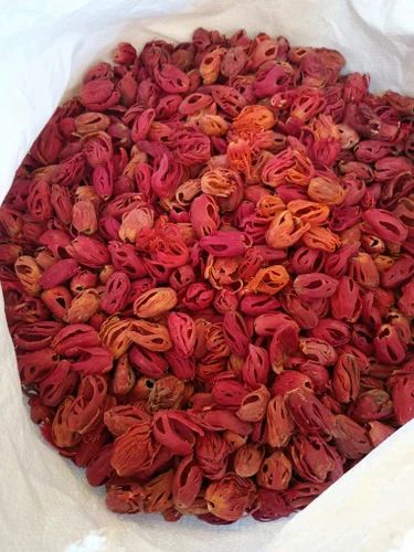 Red Conventional Nutmeg Mace Flower Spice, Whole