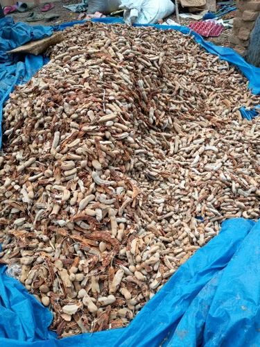 Tamarind Imli Seedless, Dark Brown, Slab