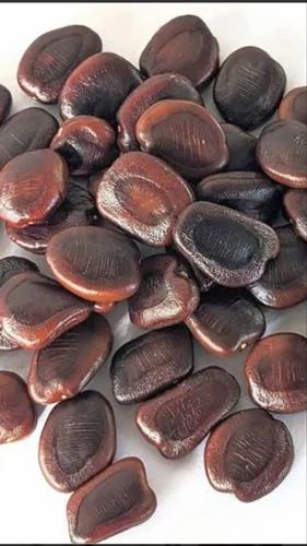 Nature Tamarind Seed, Packaging Size: 50 kg, Packaging Type: PP Bag