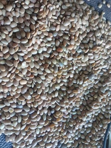 Machine Cleaned Kulthi Horse Gram Dal, Organic, Brown