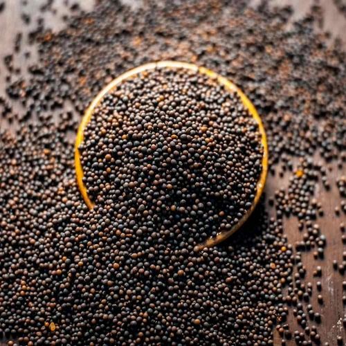 Organic Mustard Seeds