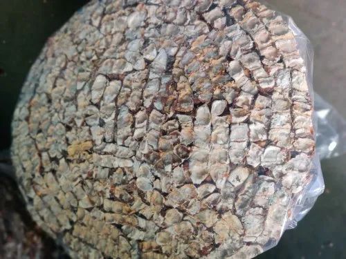 Natural Seedless Tamarind