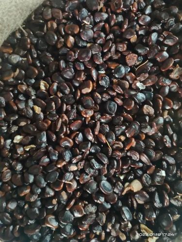 25kg Dried Tamarind Seeds