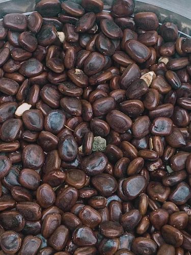 50kg A Star Dried Tamarind Seeds
