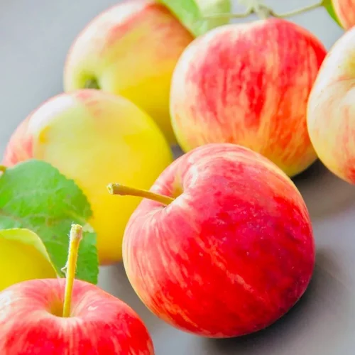A Grade 5 Kg Kashmiri Apple Box, Packaging Type: Carton