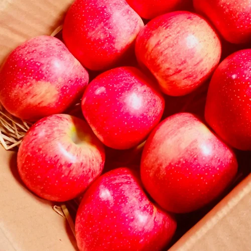 B Grade Red Kashmiri Apple, Packaging Size: 17 Kg, Packaging Type: Carton