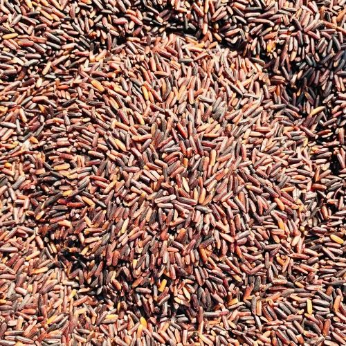 Black Organic Basmati Burma Rice, 1 kg