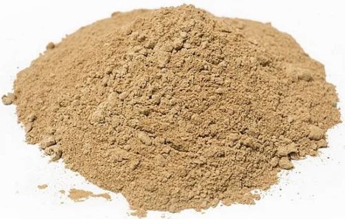 Lion'S Mane Mushroom Powder, Grade: Pharma Grade