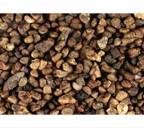 Vanraaj Black Cardamom Seeds, Packaging Type: PP Bag, Packaging Size: 10 kg
