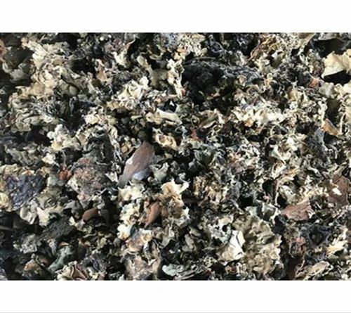 Dagad Phool Patti Stone Flower, Packaging Size: 10 Kg