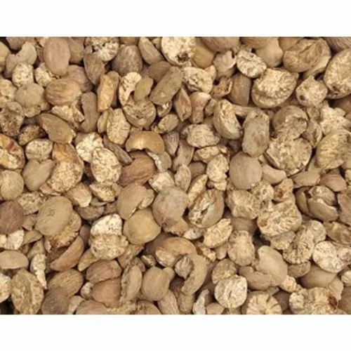 Broken Nutmeg ., Packaging Type: PP Bag, Packaging Size: 10 kg