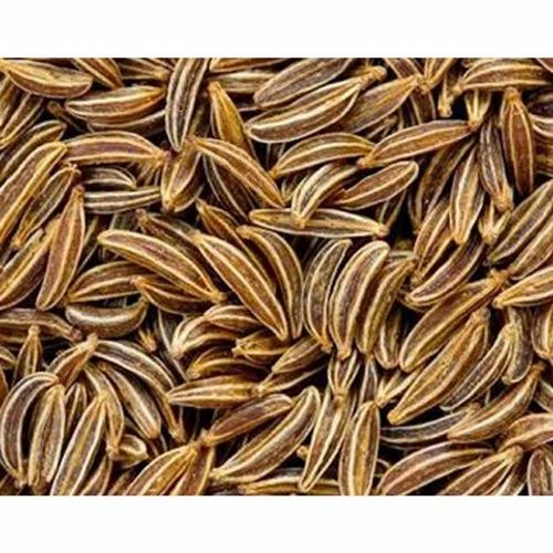 Caraway Seeds Shahi Jeera, Packaging Type: Carton, Packaging Size: 10 kg