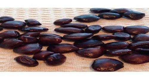 Tamarind Seeds EXPORT QUALITY FOR BANGLADESH AND OTHER COUNTRIES