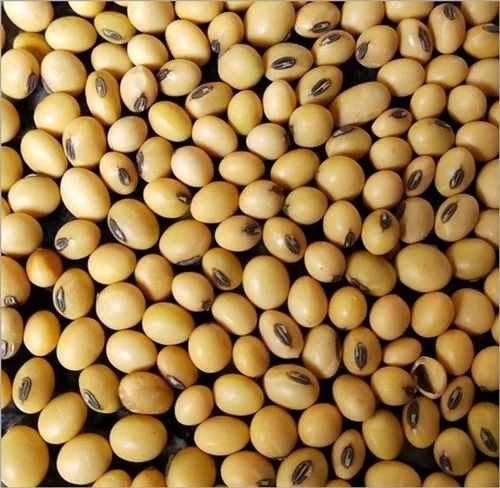 50Kg Organic Soybean, Whole Beans