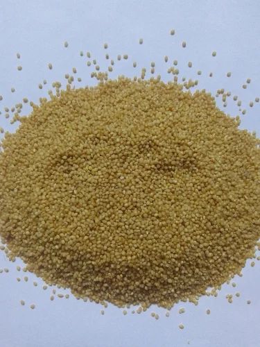 30Kg Organic Foxtail Millet