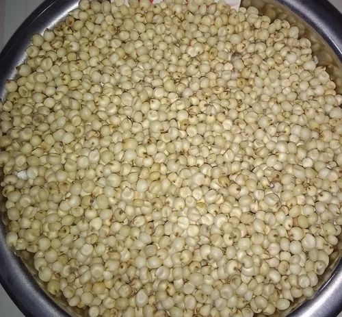 30Kg White Jowar Sorghum