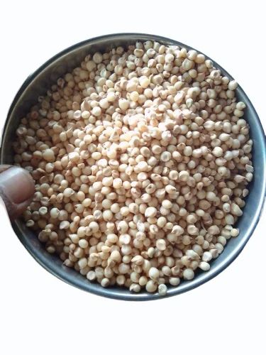 30kg Sorghum Grains