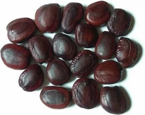 Brown Tamarind Seeds