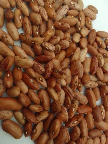 30Kg Organic Rajma Chitra