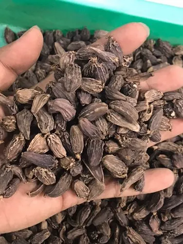 Black Cardamom Seed, Packaging Size: 10 Kg, Jute Bag