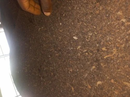 Green Cardamom Seed, PP Bag, Packaging Size: 50 kg