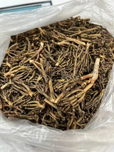 Clove Whole Stem