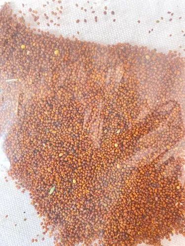 Organic Mustard Seed, Packaging Size: 30kg