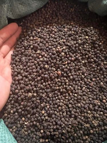 Black Pepper Seeds, Asta, Whole