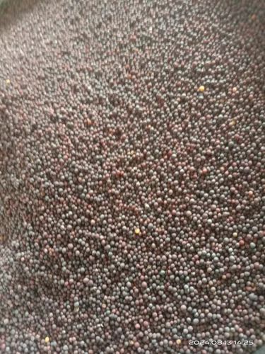 Rai Mustard Seeds, 250 g