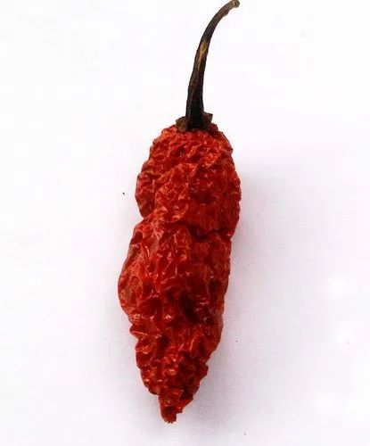 Spicy GHOST PEPPER PODS // BHUT JOLOKIA PEPPER PODS, Packaging Type: Bag
