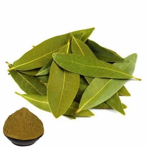 Cinnamomu Cassia Exract, Packaging Size: 25 Kg