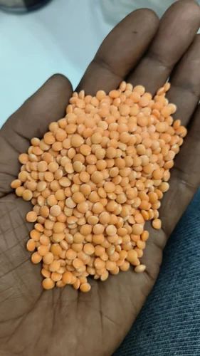 Red Lentil Masoor Dal, Packaging Size: 50 Kg