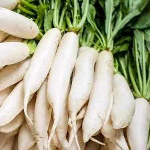 Fresh Radish