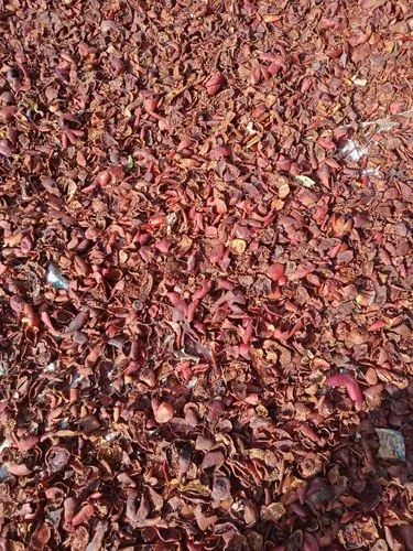 Brown Dry Dadam Chhal