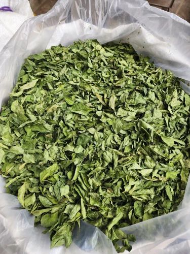 Organic Dry Curry Leaves (A Grade, 10 kg)