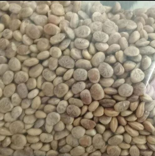 Charoli Chironji Seed - Bold Grade (Loose, 20 Kg Bag)