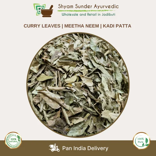 Curry Leaves, A Grade