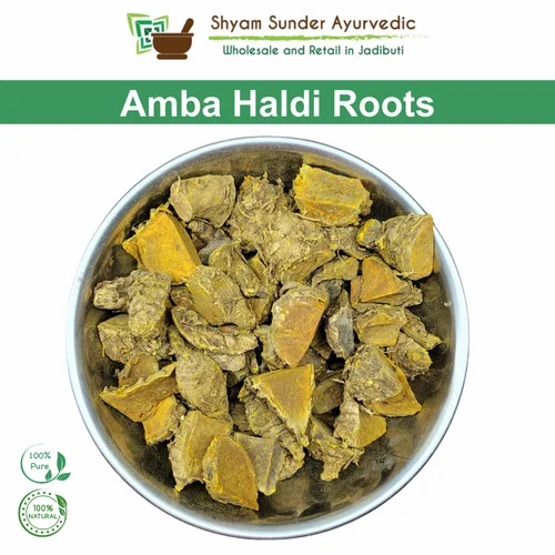 Amba Haldi Roots