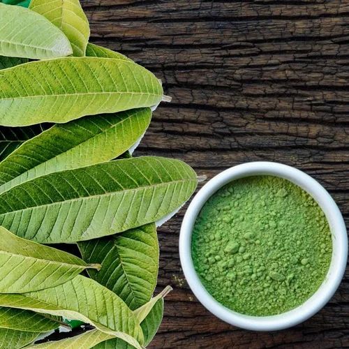 Green Guava Leaves Powder, Plastic Bag, Packaging Size: 25 Kg