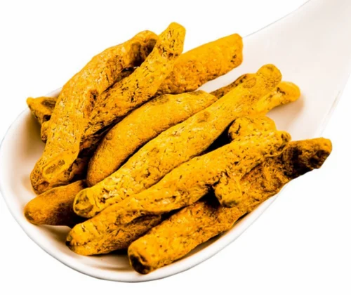 Salem 4 Inch Turmeric Roots