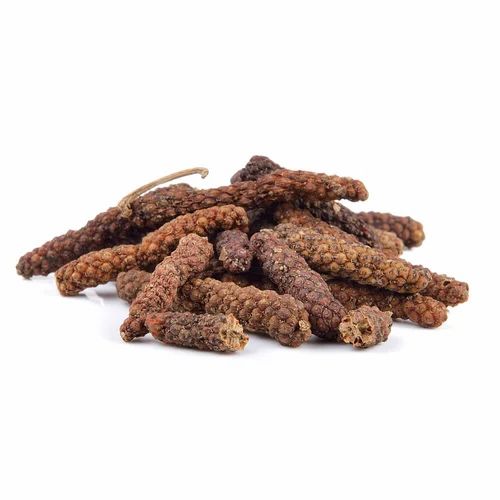 Long Pepper Pippali Thippili