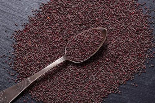 Brown Mustard Seeds, 25 kg