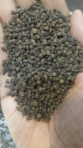 Black Pepper Seeds, Packaging Size: Loose