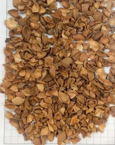 Apricot Kernel Shell