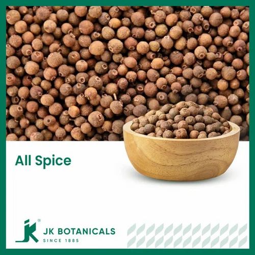 All Spice / Pimenta Dioica