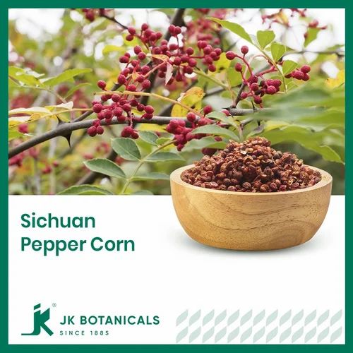 Sichuan Pepper Corn (Zanthoxylum bungeanum)