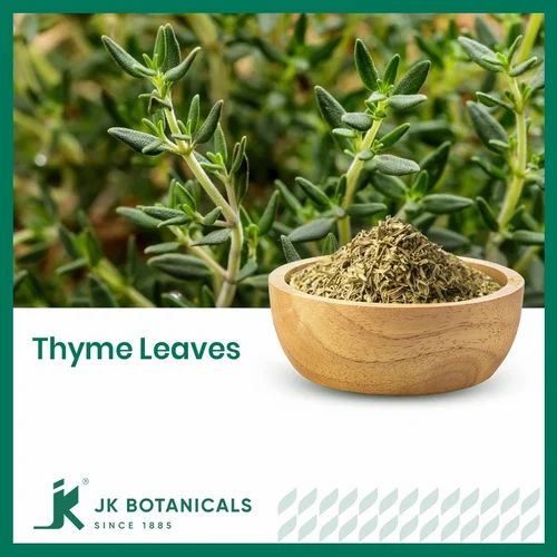 Thyme Leaves / Thymus Vulgaris