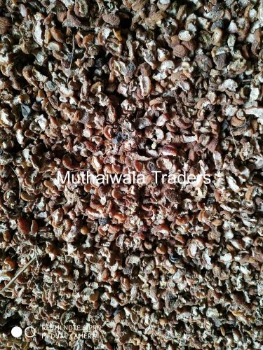 Dry Amla Seeds