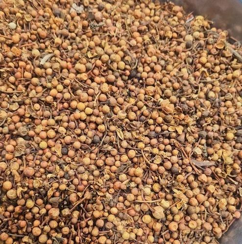 Nag Keshar Mogra