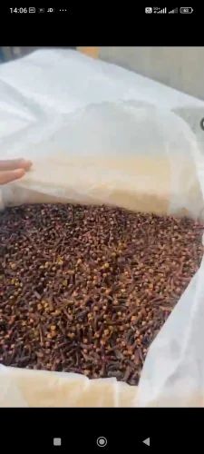 Cloves Laung Lavang